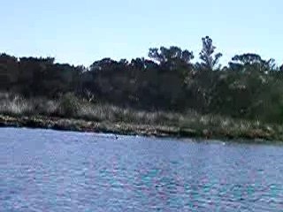 floride 06 02 2007 n2