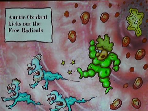 ICHN-2014 Nutraceuticals& Functional Foods 2 Impact of drying conditions on nutritional quality of pomegranate Prof. Dr. Abid Hussnain