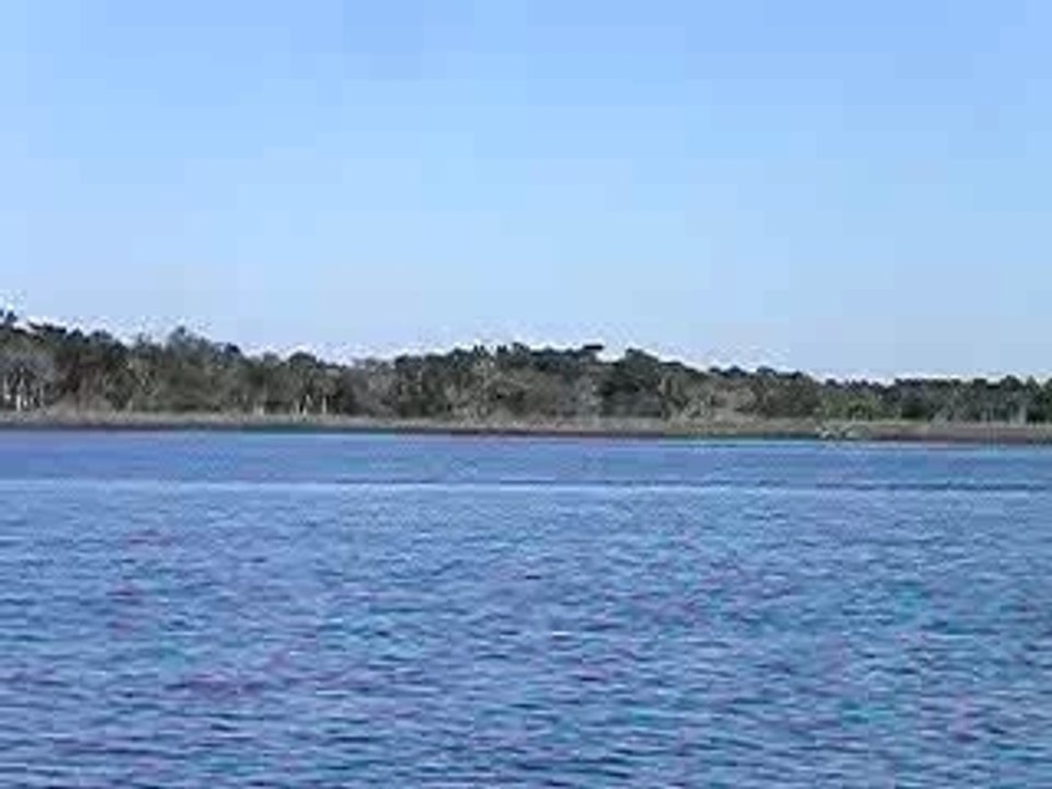 floride 06 02 2007 n3
