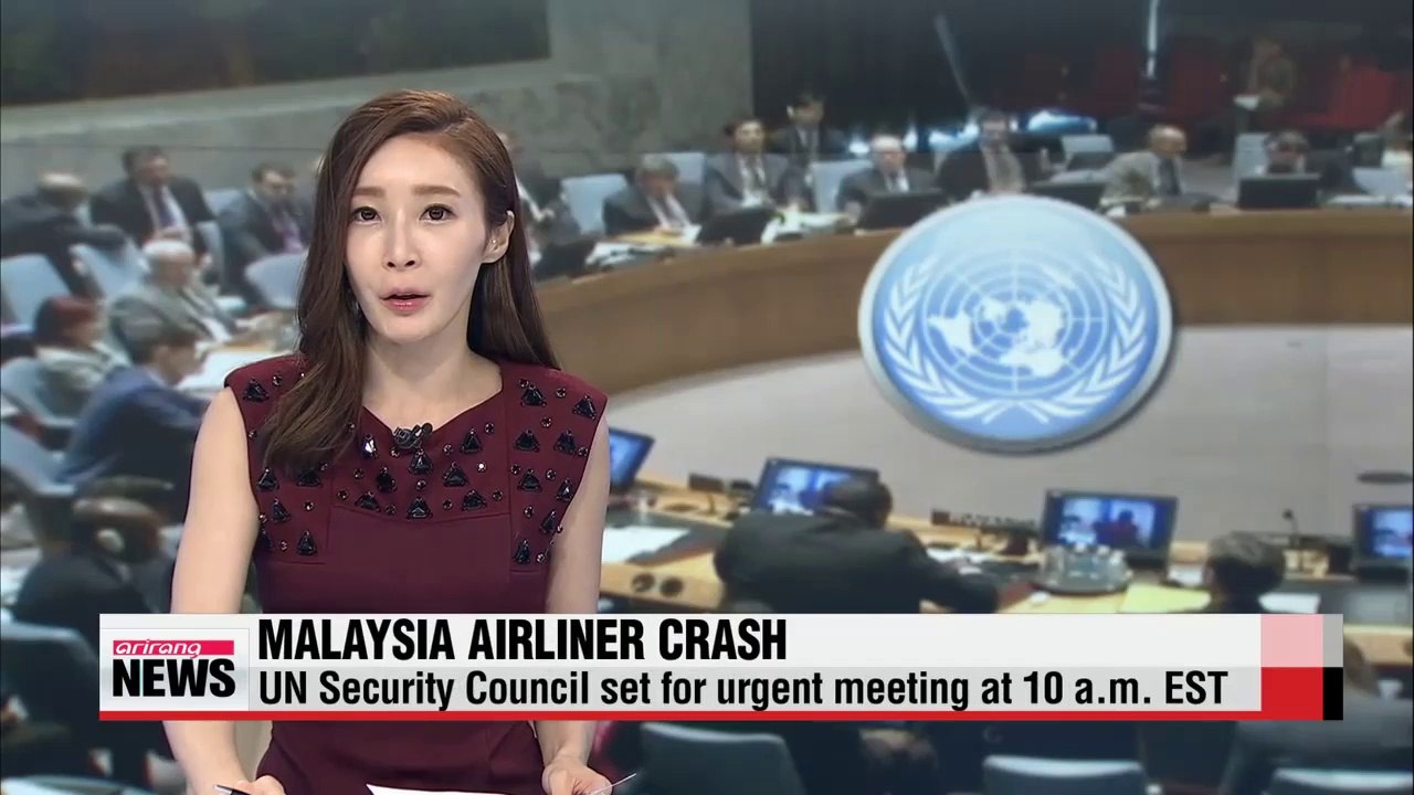 Malaysian passenger plane 'shot down' in Ukraine, 298 dead (3)