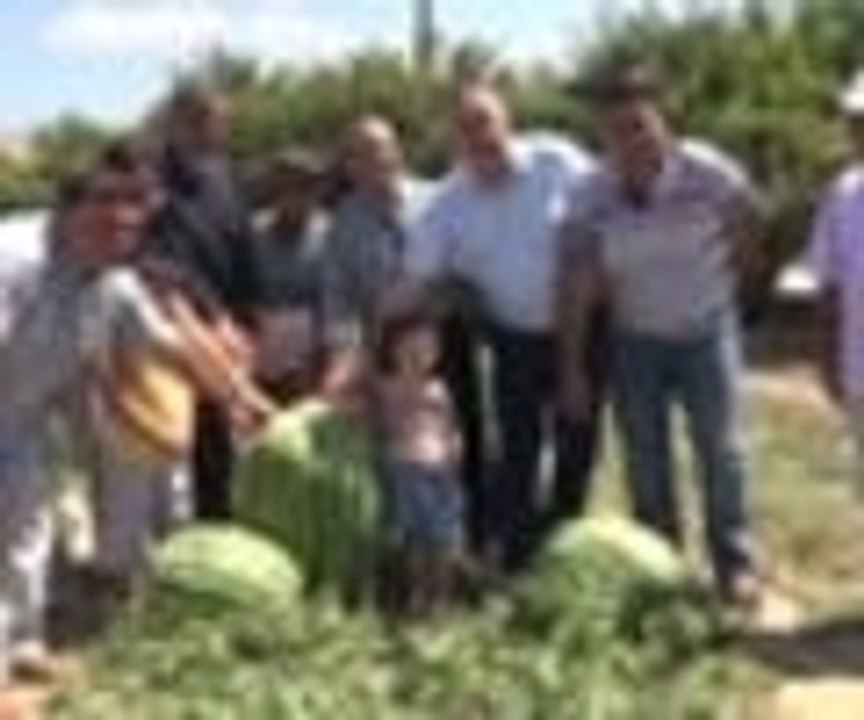 Görenleri hayrete düşüren dev karpuz