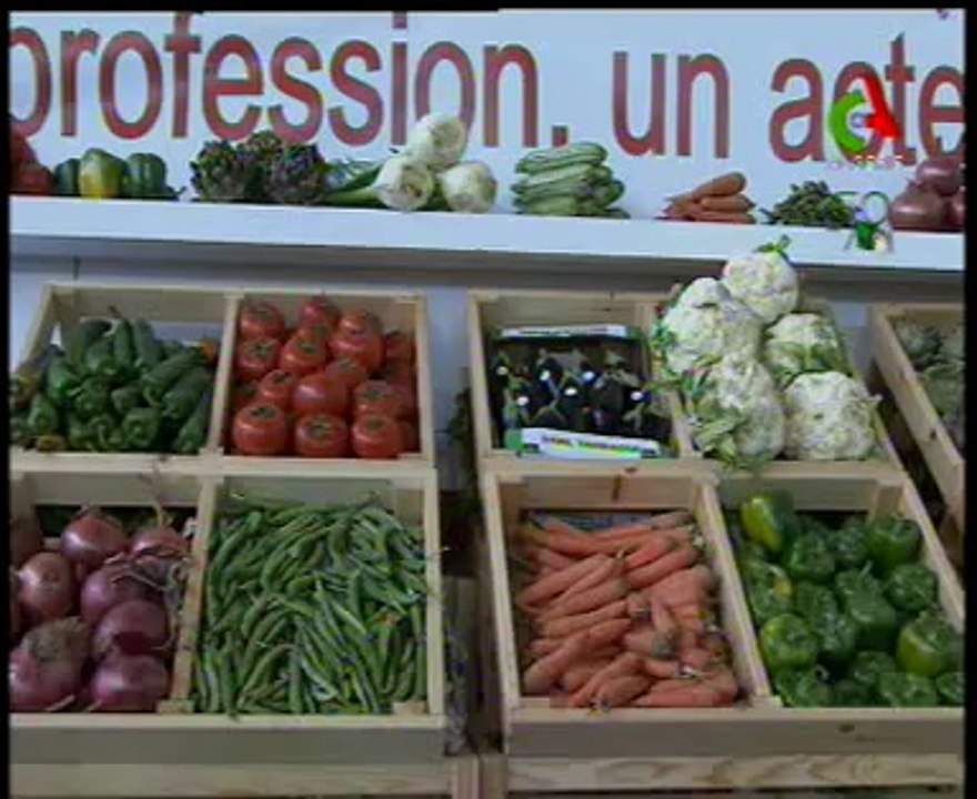 Algerie,Biskra,céréales