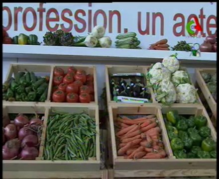 Algerie,Biskra,céréales