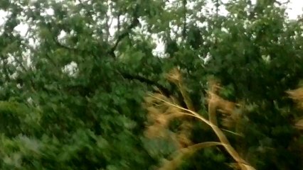 ASLIHAN'DA BÜYÜK SEL