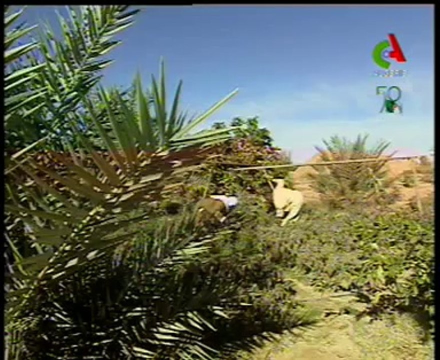 Algerie,Bechar route des Ksours