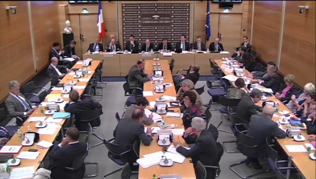 Intervention de Philippe Gosselin, Député de la Manche, à l'Assemblée nationale sur la réforme territoriale