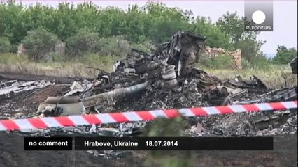 Footage of MH17 wreckage in Ukraine