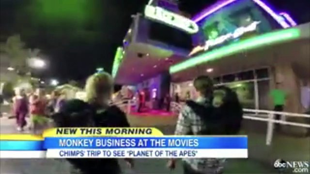 Deux chimpanzés vont au cinéma voir la planète des singes