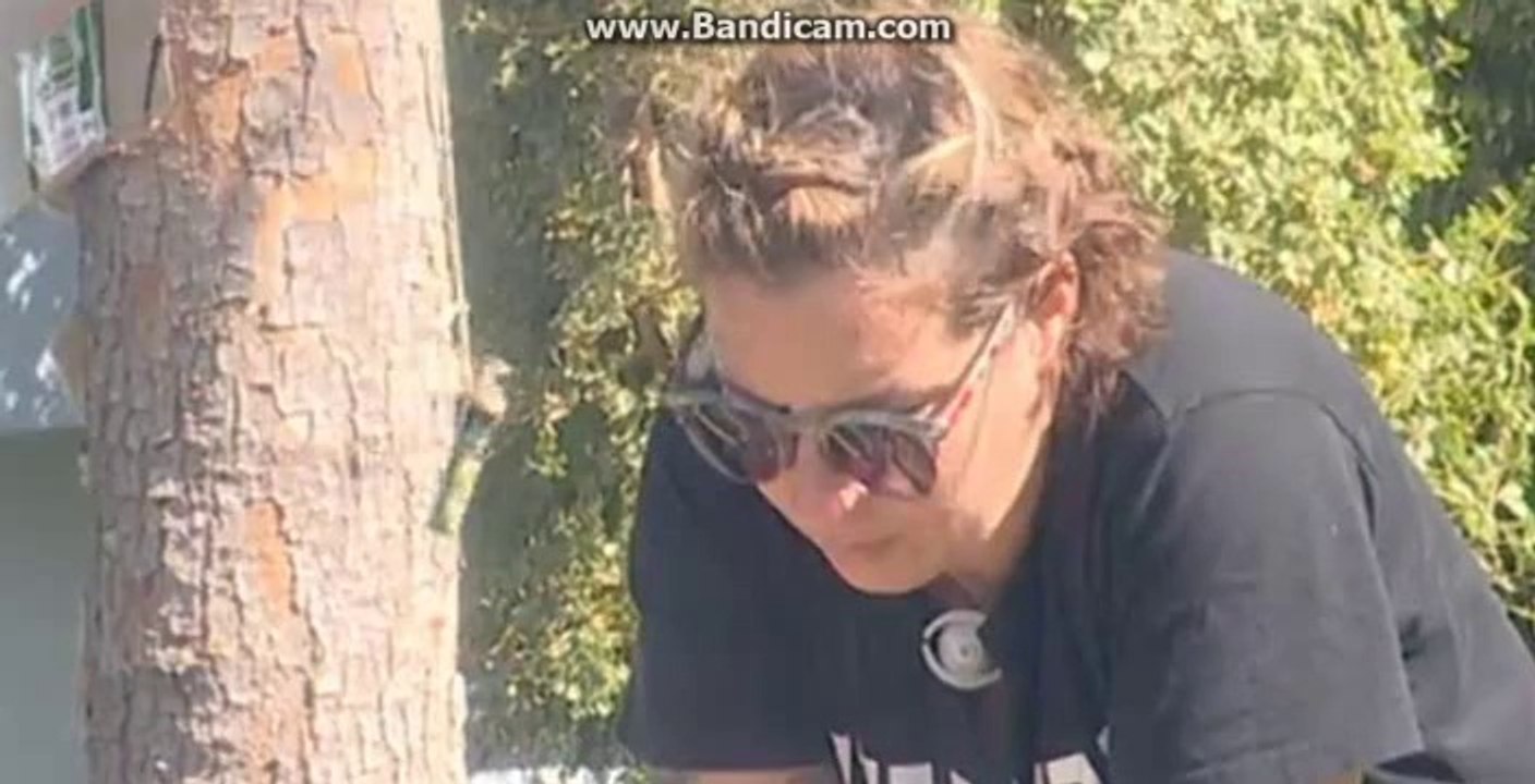 17.07.14 - Danit Einav