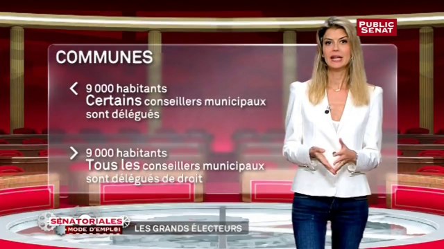 Les grands électeurs - Sénatoriales, mode d'emploi