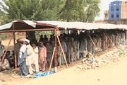Dunya News - PPP forms committee to assist North Waziristan IDPs