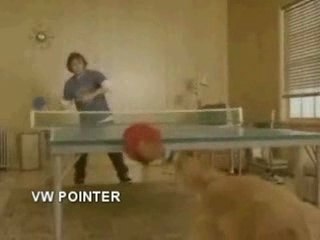 PINGPONG