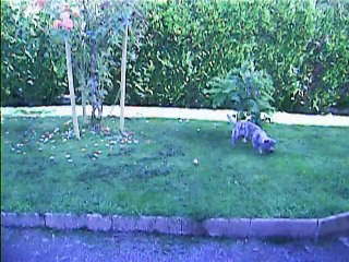 Steeven arrose Jaudy avec un pistolet plastique