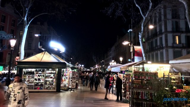 iPhone 6 camera battery, Microsoft layoffs, Galaxy Note 4 UV info & more - Pocketnow Daily