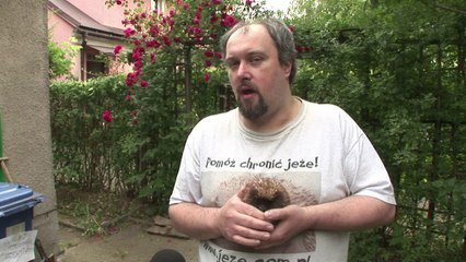 In Poland, poorly hedgehogs find a saviour