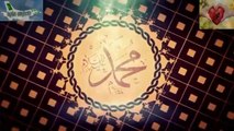 Meri Zindagi Sirf Ishq e Nabi Hafiz Tahir Qadri Ramzan Album 2014 HD Video