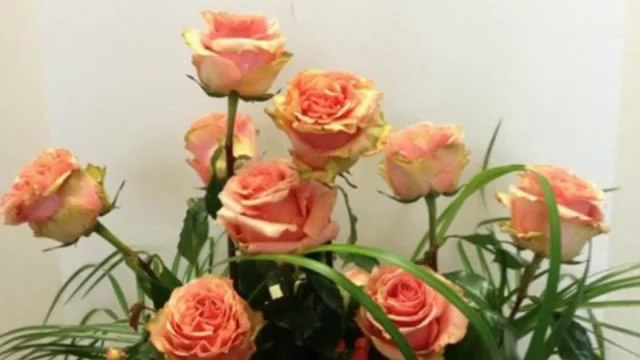 Jackies Floral Gallery