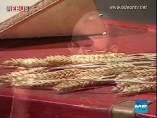 Rebus - Il mistero dei cerchi nel grano