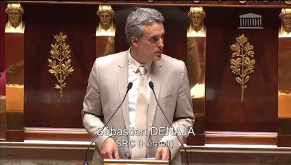 Délimitation des régions - Discussion générale - Sébastien Denaja