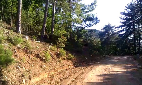 Kaz Dağları Dönüş