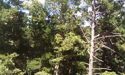 Kaz Dağları Çıkış