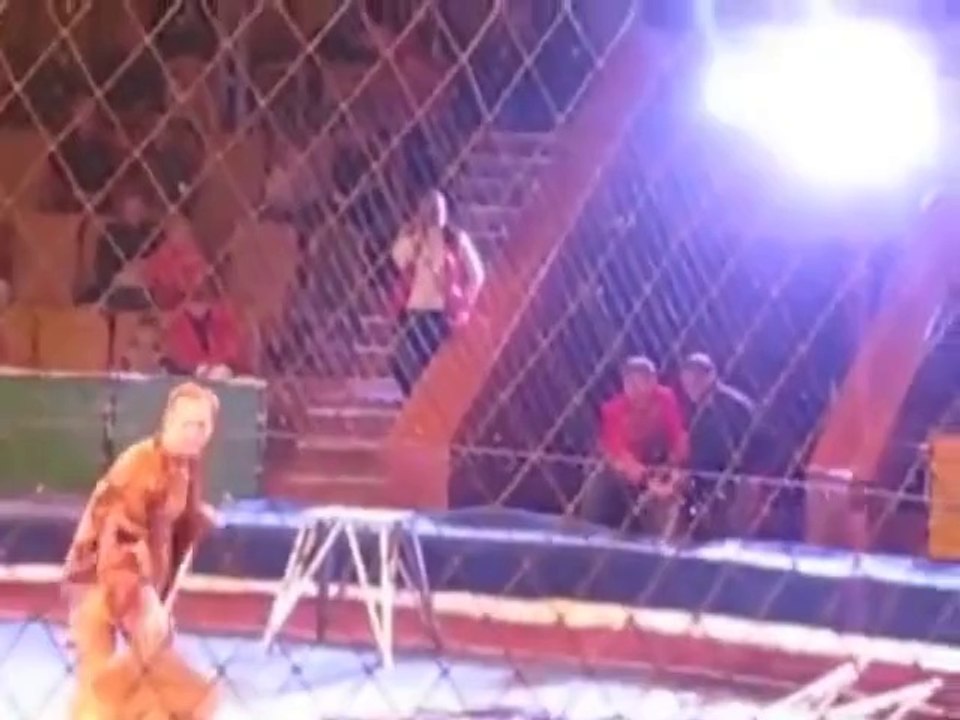 Angry Lion Attack in Theater