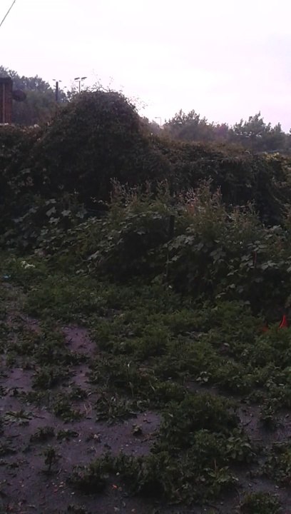 20140718_051332