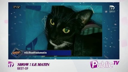 Zapping Public Tv : le best-of 100% : lapsus !