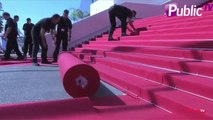 Exclu Vidéo : La mise en place du tapis rouge et l'arrivée du Jury !