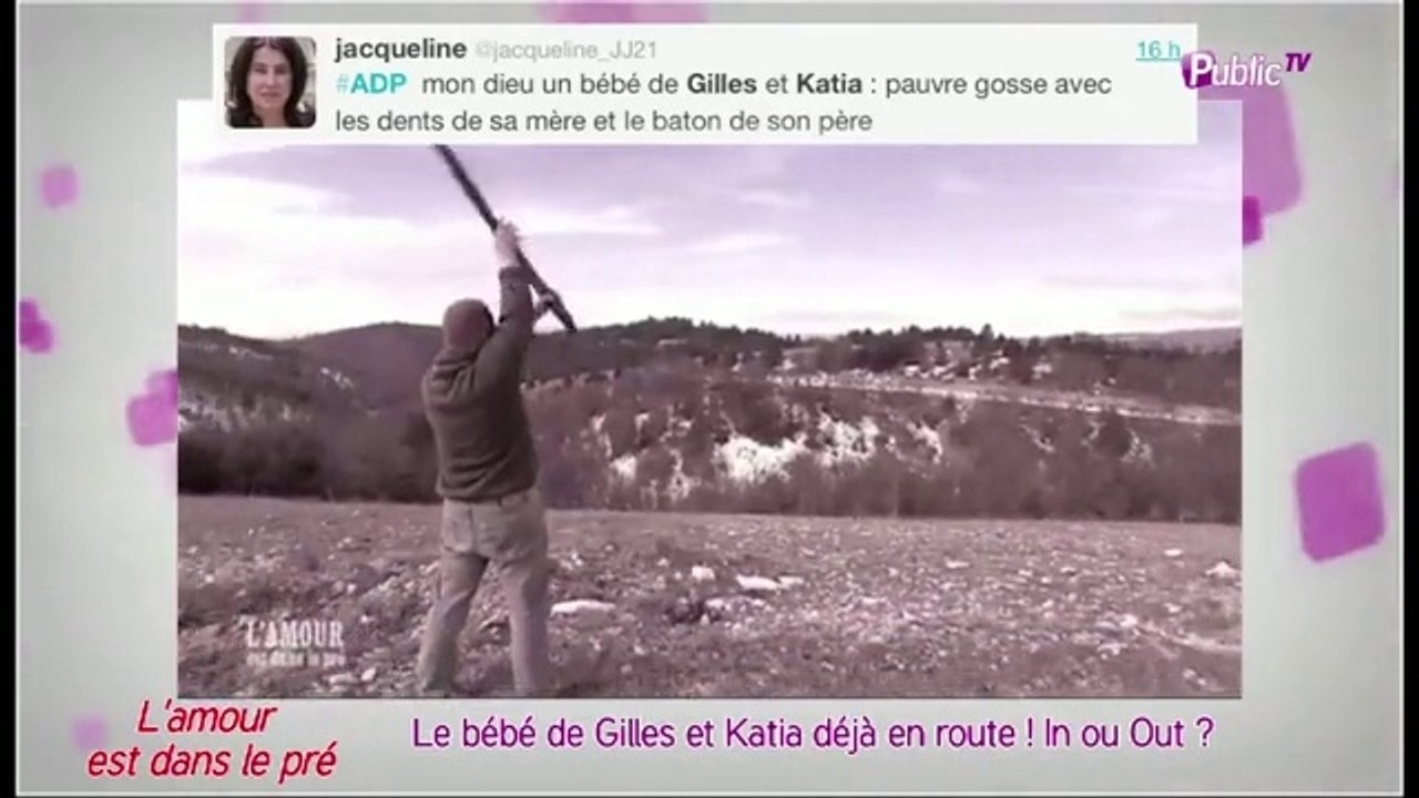 Public Zap Gilles Et Katia L Amour Est Dans Le Pre 8 Un Bebe Deja En Route Video Dailymotion