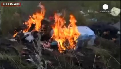 Düşürülen uçakla ilgili yeni iddia!