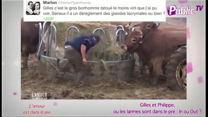 Public Zap : Gilles et Philippe ou Les larmes sont dans le pré : In ou Out ?