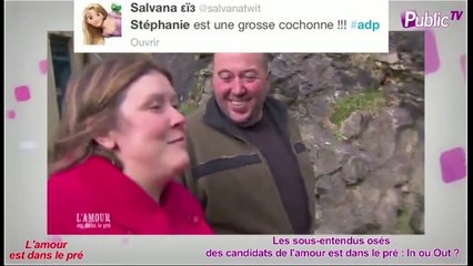 Public Zap : Les sous-entendus osés des candidats de l'amour est dans le pré : In ou Out ?