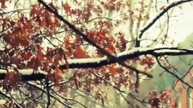 Saif Ur Rehman - اللہ کون ہے؟ ایک ایسی ویڈیو جسے شیئر کرنے پر آپ...‬