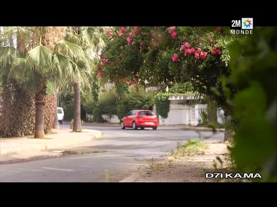 zina20-1