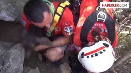 AKUT, kayalıklarda mahsur kalan oğlağı kurtardı -