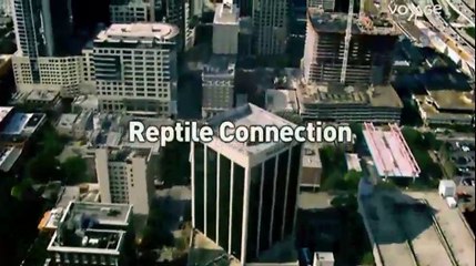 Reptile Connection[voyage au bout de l'enfer]