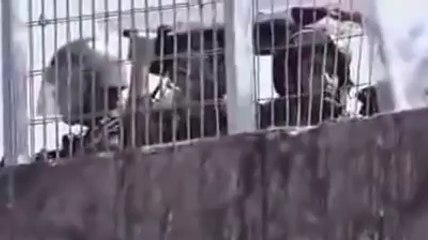 مسلمان اور کافر میں فرق - Must Watch