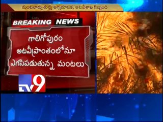 Fire in forests adjoining Tirumala