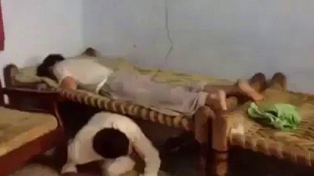 hahaha run its earth quick