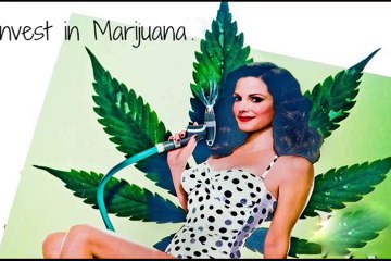 Basic And Important Points to Know About Medical Marijuana Stock