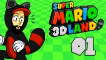 [WT] Super Mario 3D Land #01 [100%]