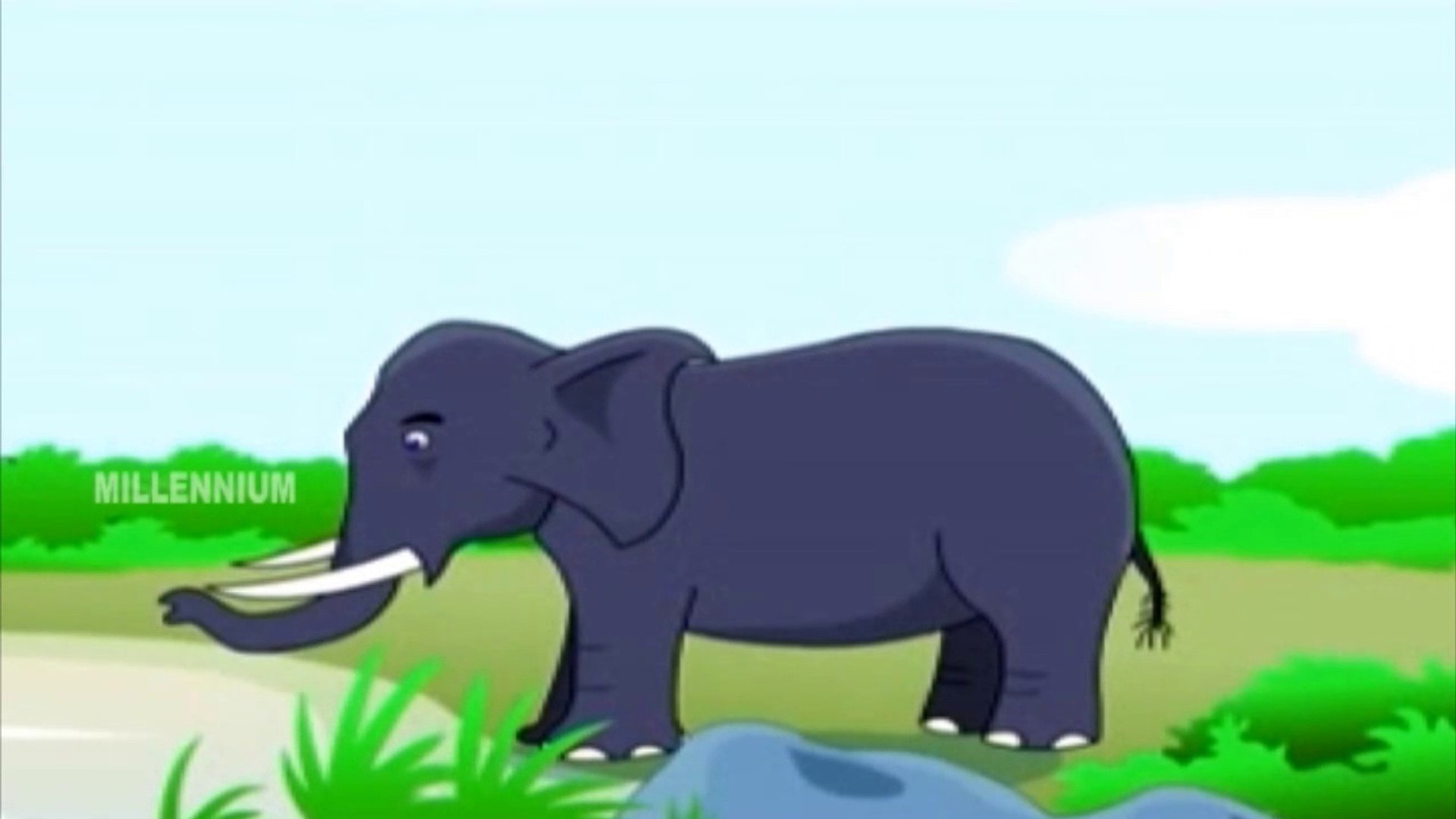 ⁣Animals | Chinnuvinte School | Kids Informative Animations