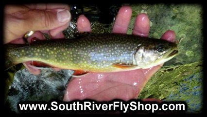 Things To Do At Wintergreen Resort | Mountain Fly Fishing