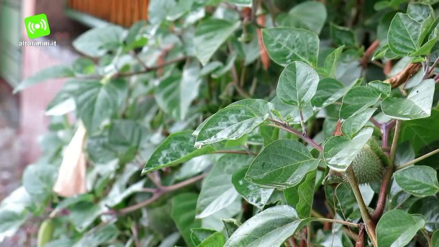 Rimini, meteo: caldo nel weekend ma la settimana inizia perturbata