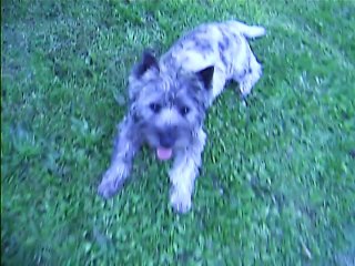 les titous déchaînés à 8h30 ce matin