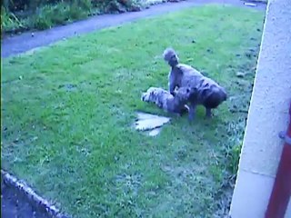 Jaudy,en pleine forme