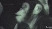 Deux chimpanzés regardent "La planète des Singes: L'affrontement" au cinéma • Pinblue Cinéma