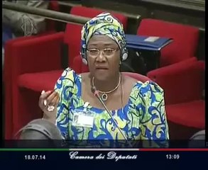 Roma - Seminario ''Italia chiama Africa'' - seconda parte originale (18.07.14)