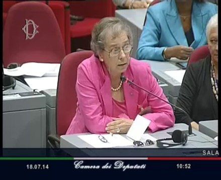 Roma - Seminario ''Italia chiama Africa'' - prima parte (18.07.14)